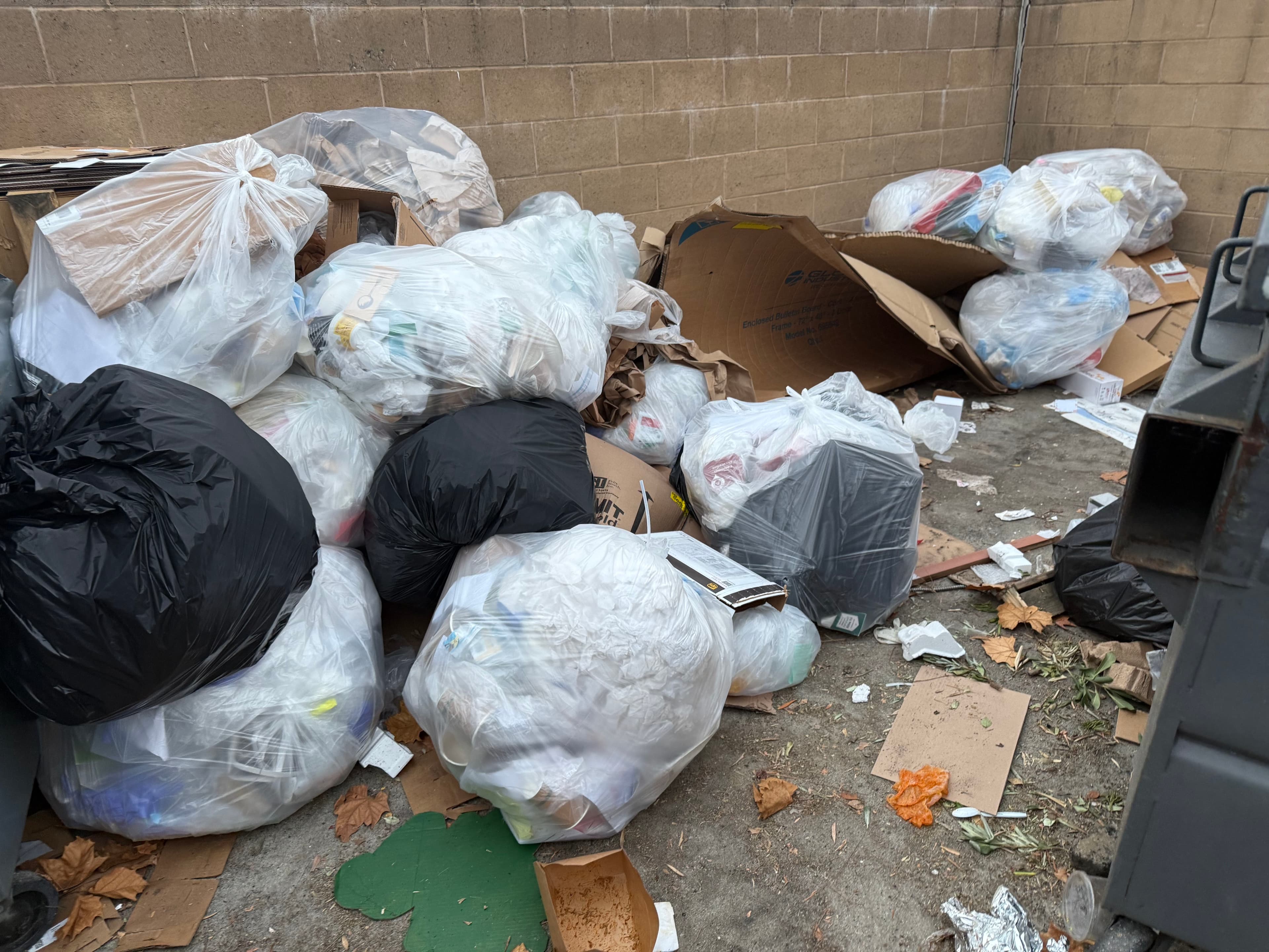 Junk Removal Cleanup in Pasadena