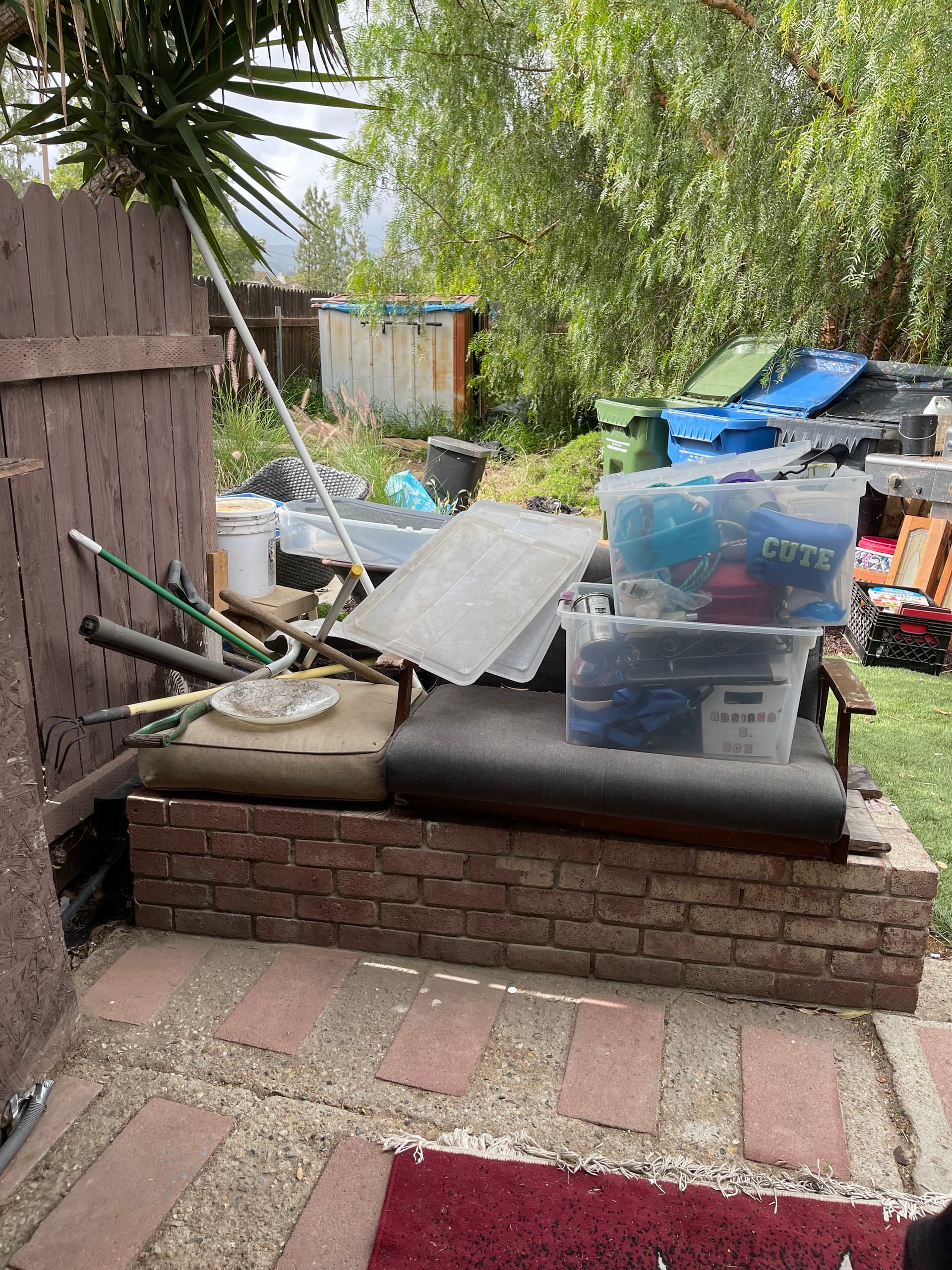 Backyard Cleanout Goes From Cluttered and Overgrown to Open Space image
