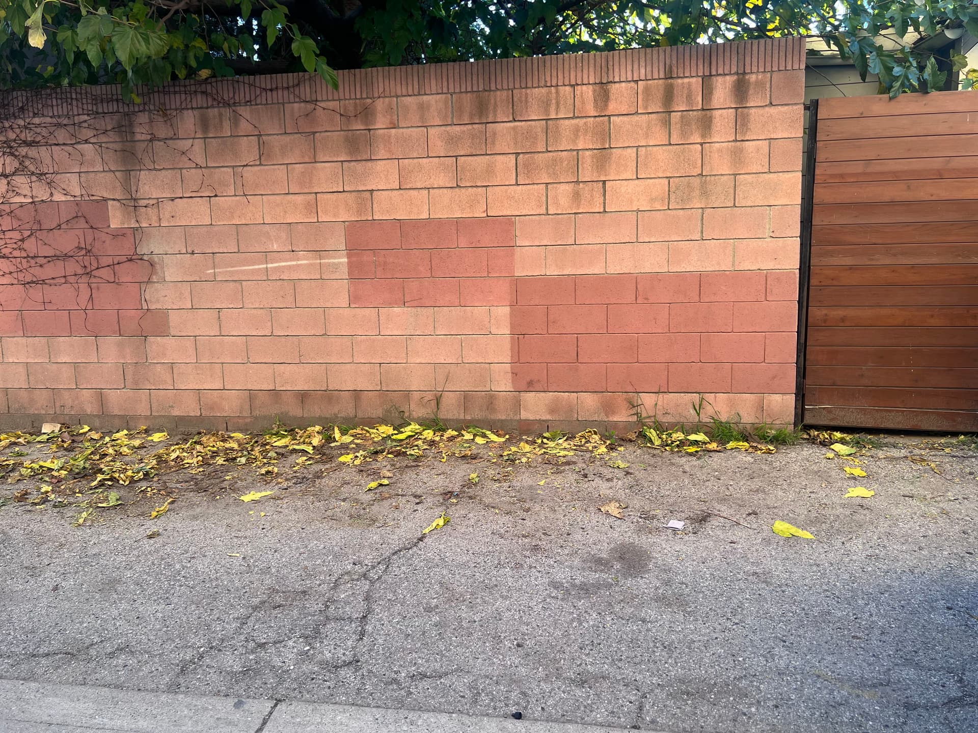 Gallery photos for From Cluttered to Cleared - A Full Junk Removal Clean Out: Image #1