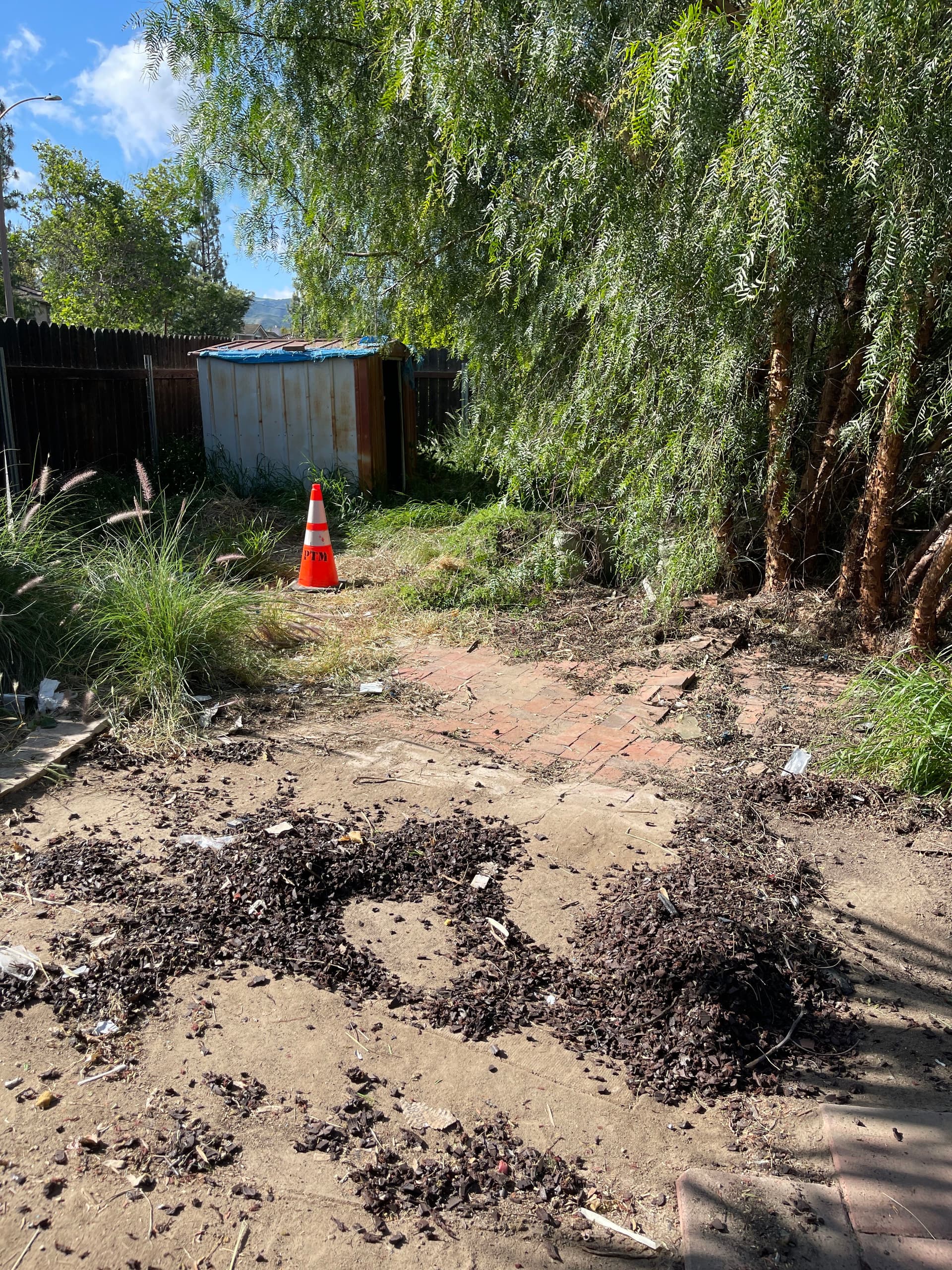 Gallery photos for Backyard Cleanout Goes From Cluttered and Overgrown to Open Space: Image #1