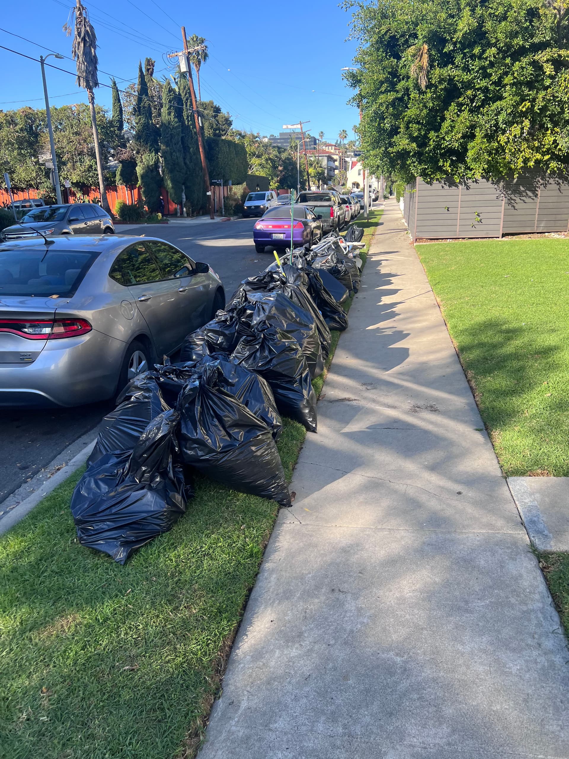 Curb Full of Bags Gone - Clean Lawn Left Behind