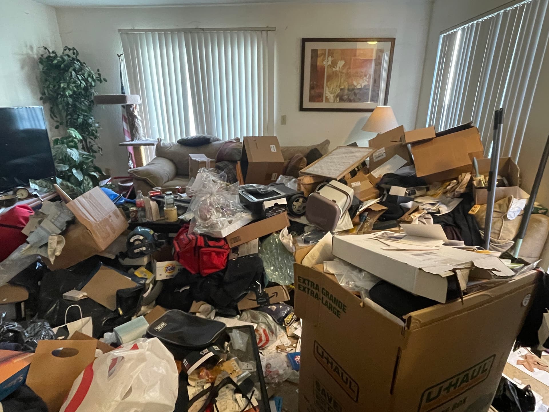 Gallery photos for Hoarding Cleanup Success in Santa Clarita: Image #2