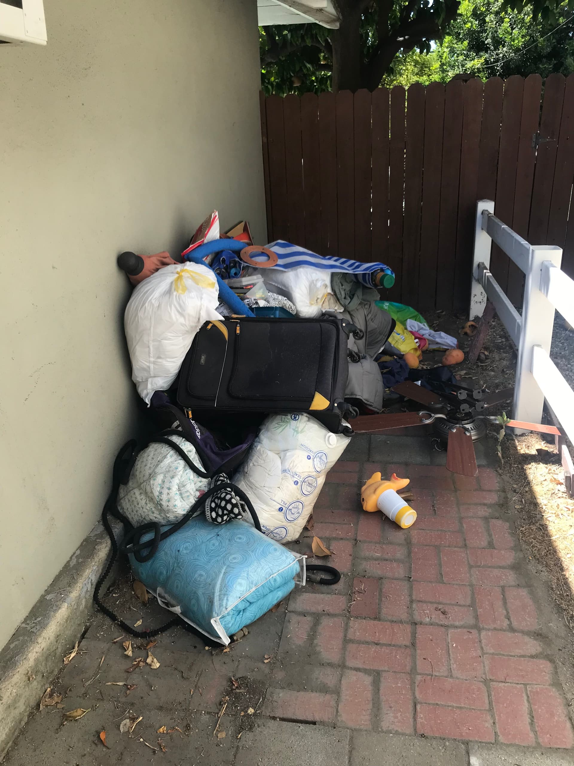 Side Yard Junk Removal Done Right image