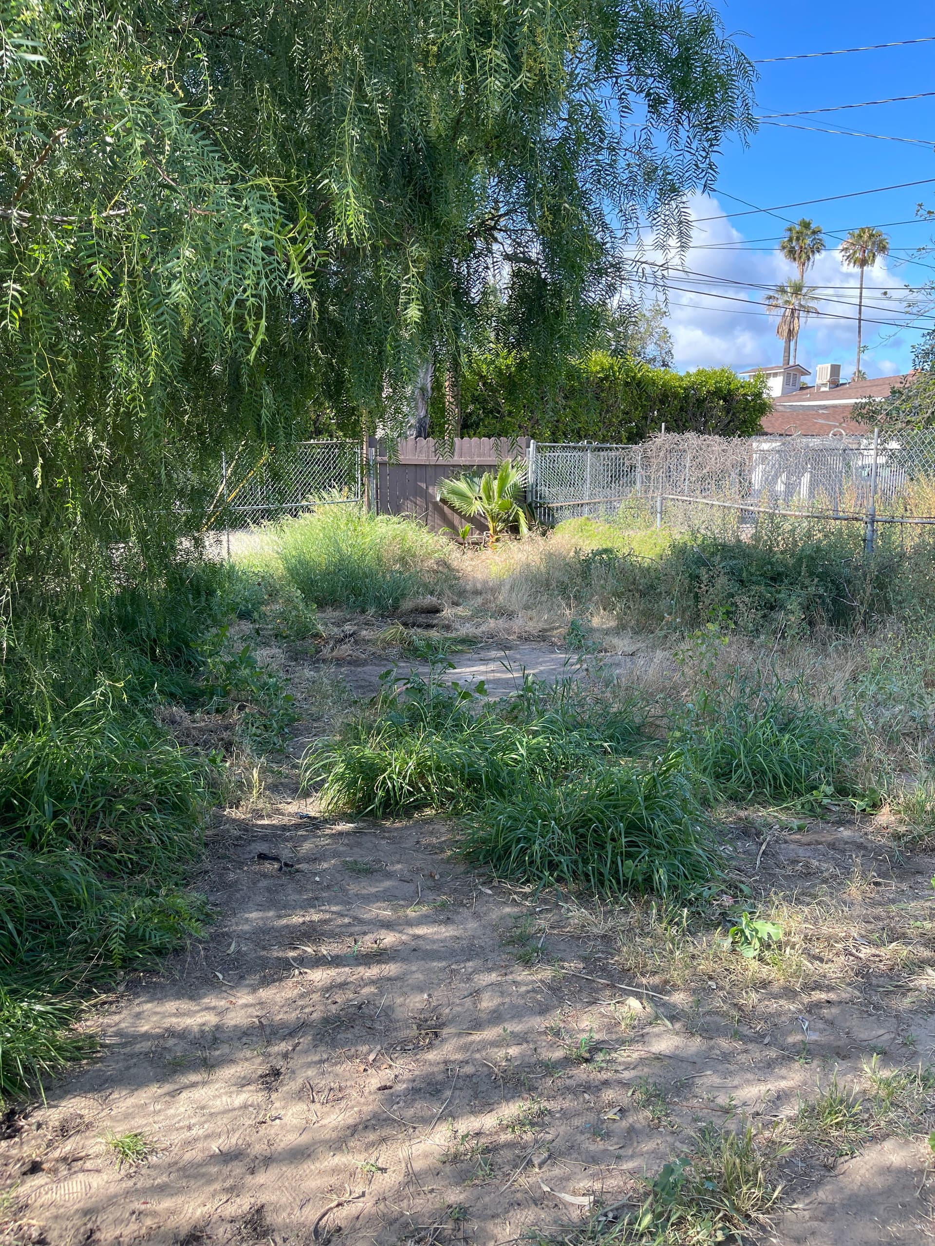 Gallery photos for Backyard Cleanout Goes From Cluttered and Overgrown to Open Space: Image #3