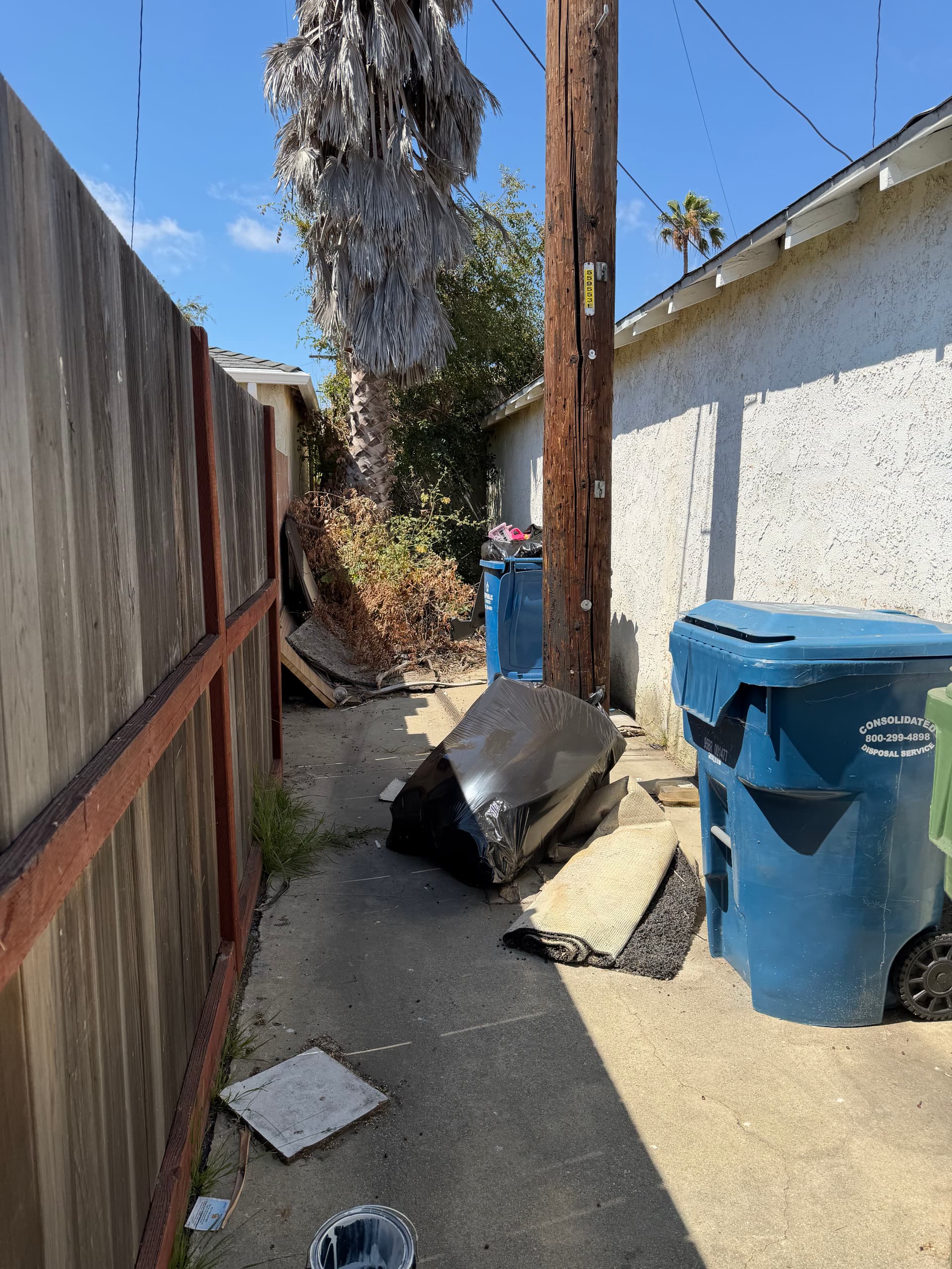 Gallery photos for Side-of-Garage Junk Removal Done Right: Image #2