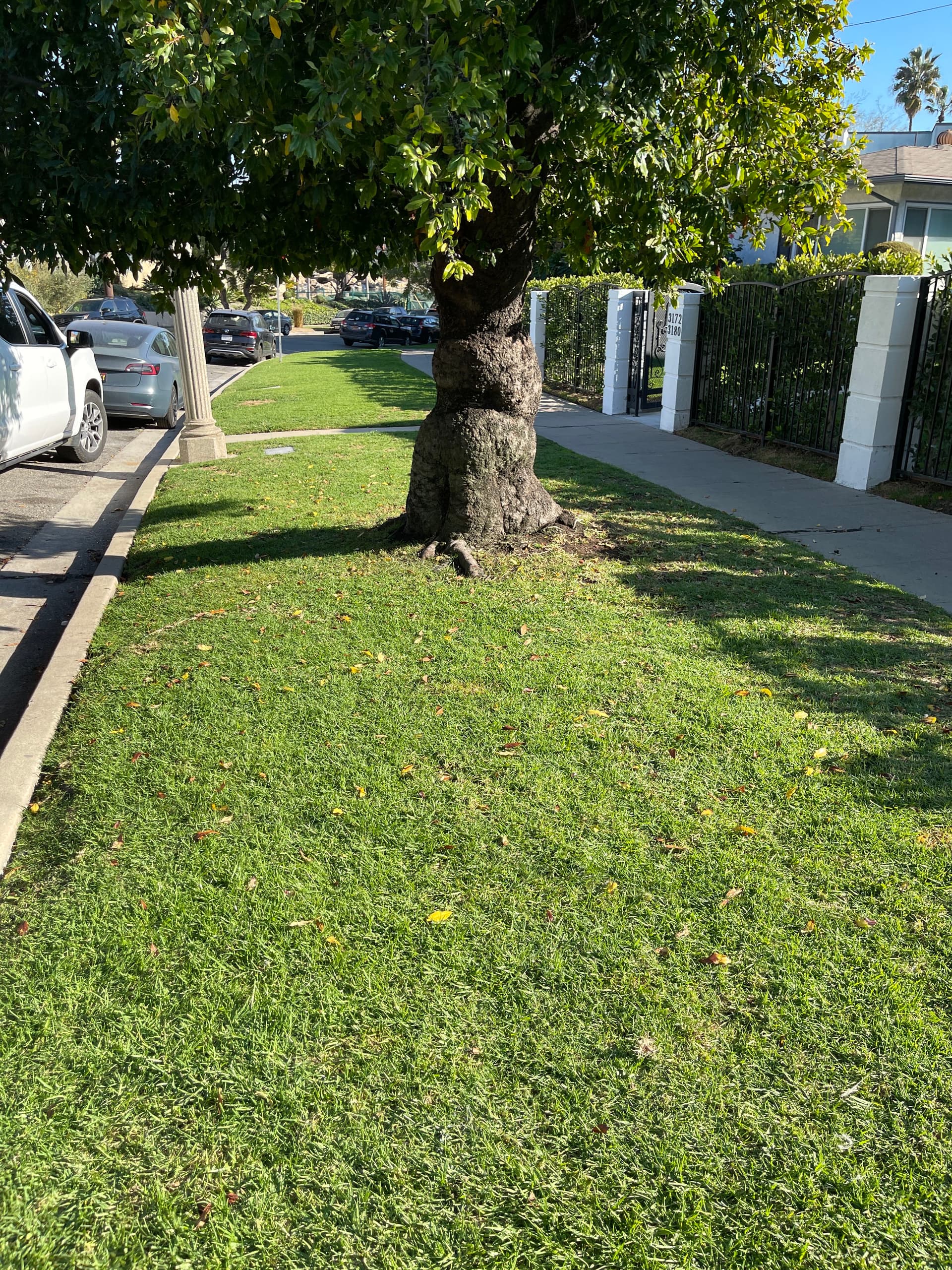 Gallery photos for Curbside Cleanup in Glendale: Image #1