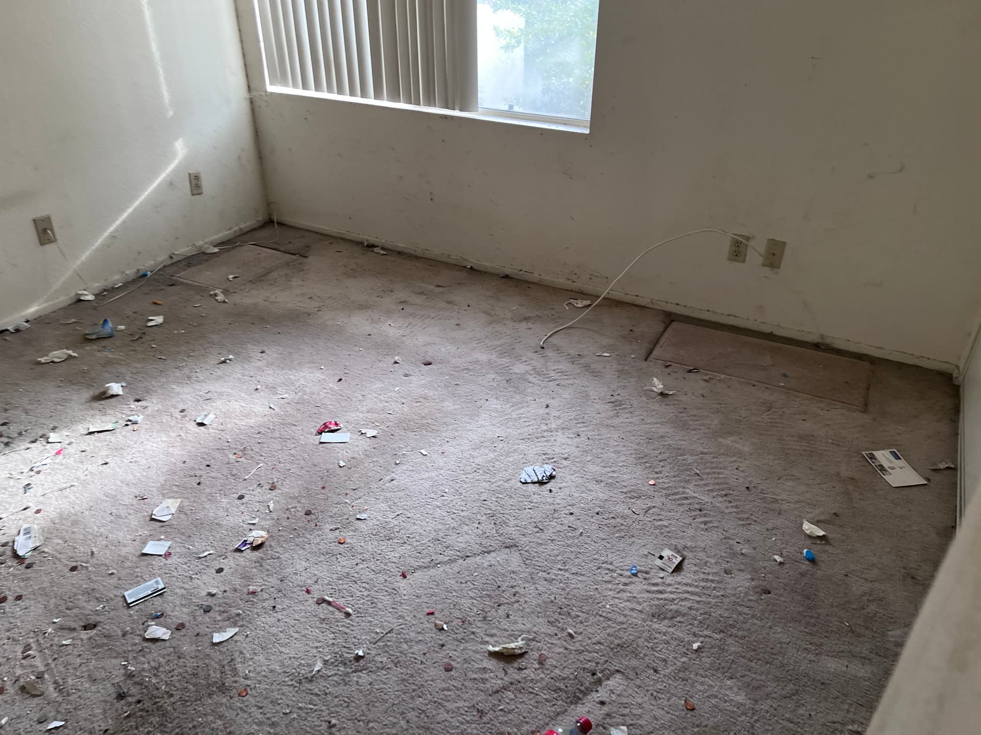 Gallery photos for Hoarding Cleanup Success in Santa Clarita: Image #1