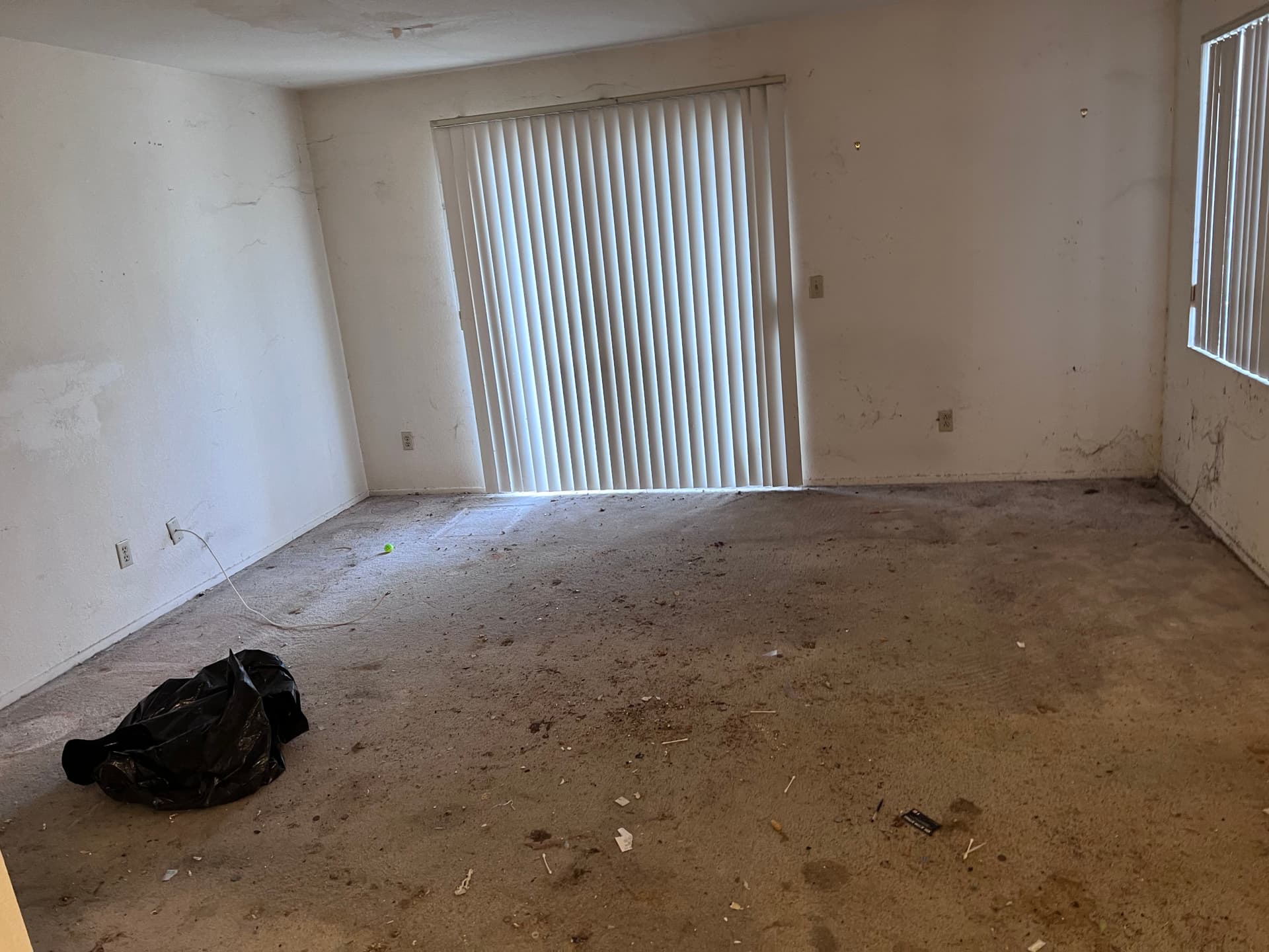 Gallery photos for Hoarding Cleanup Success in Santa Clarita: Image #3