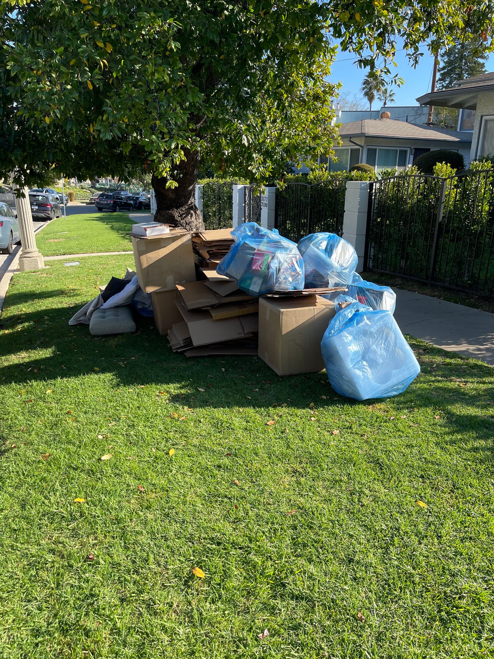 Curbside Cleanup in Glendale image