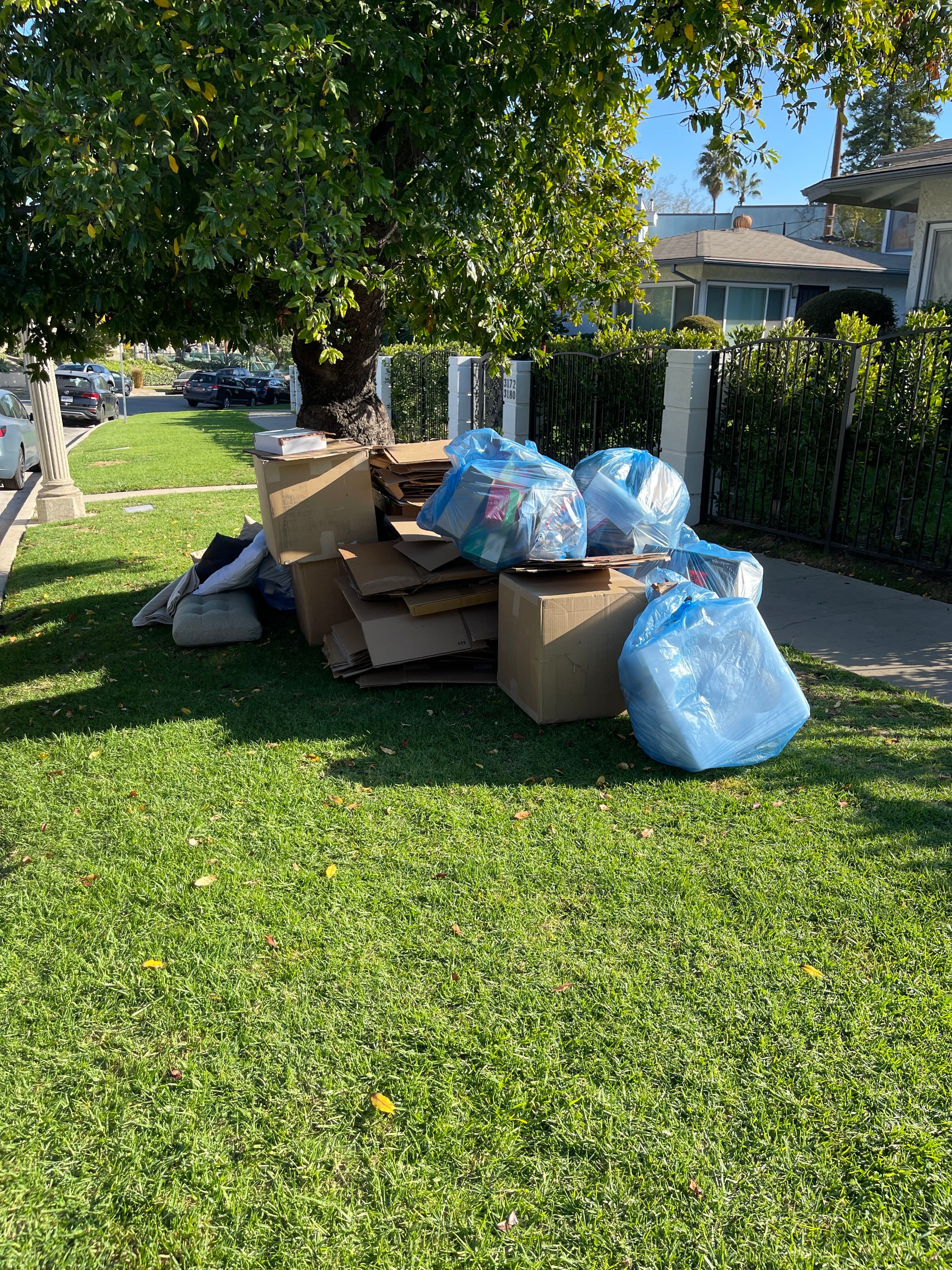 Curbside Cleanup in Glendale