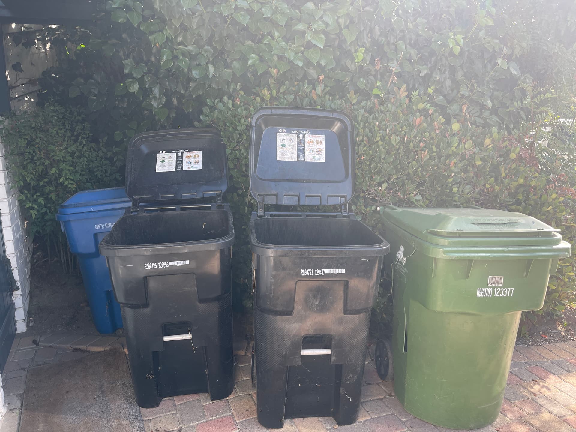Gallery photos for Airbnb Trash Overflow Is a Real Problem We Solve Fast: Image #1
