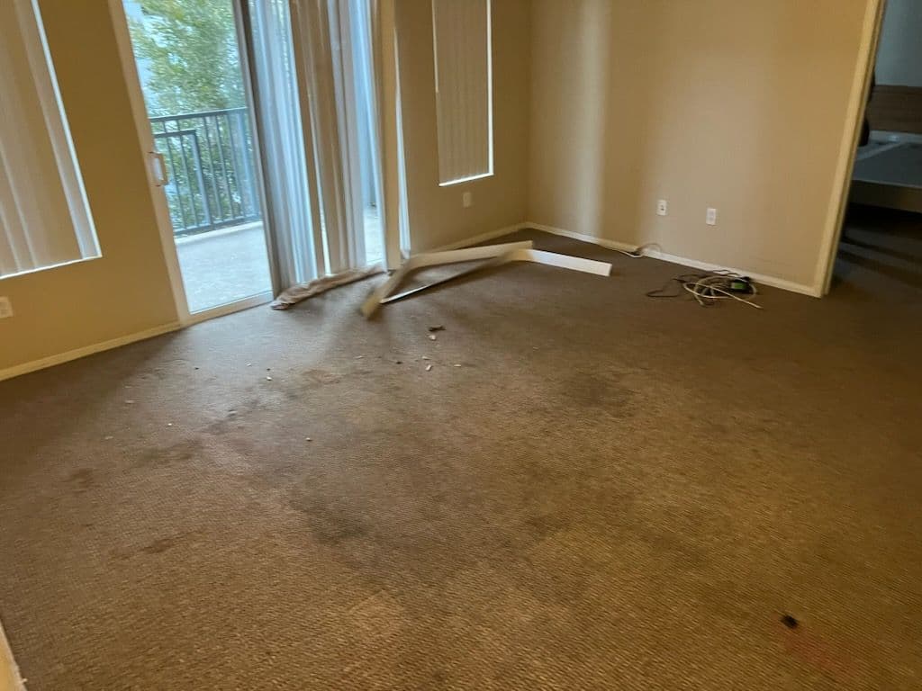 Gallery photos for Transforming Cluttered Apartments in Porter Ranch: Image #2