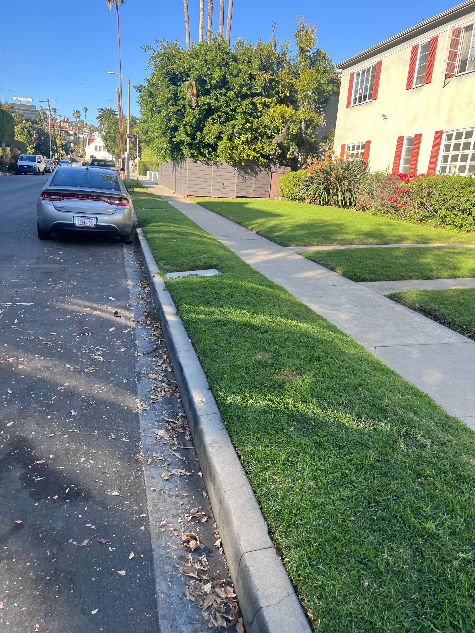 Gallery photos for Curb Full of Bags Gone - Clean Lawn Left Behind: Image #1