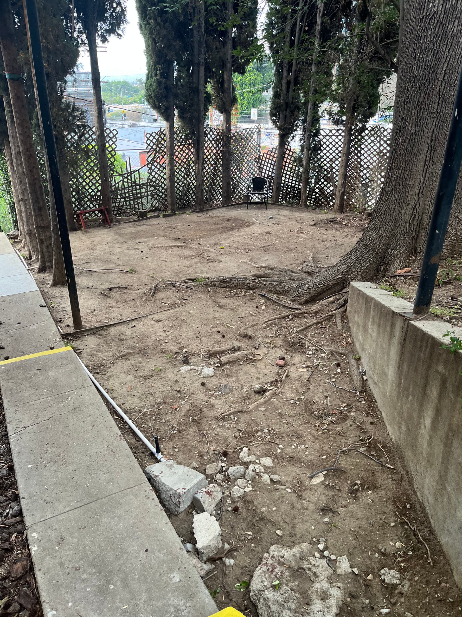 Gallery photos for Storage Room and Side Yard Cleanout Done Right: Image #3