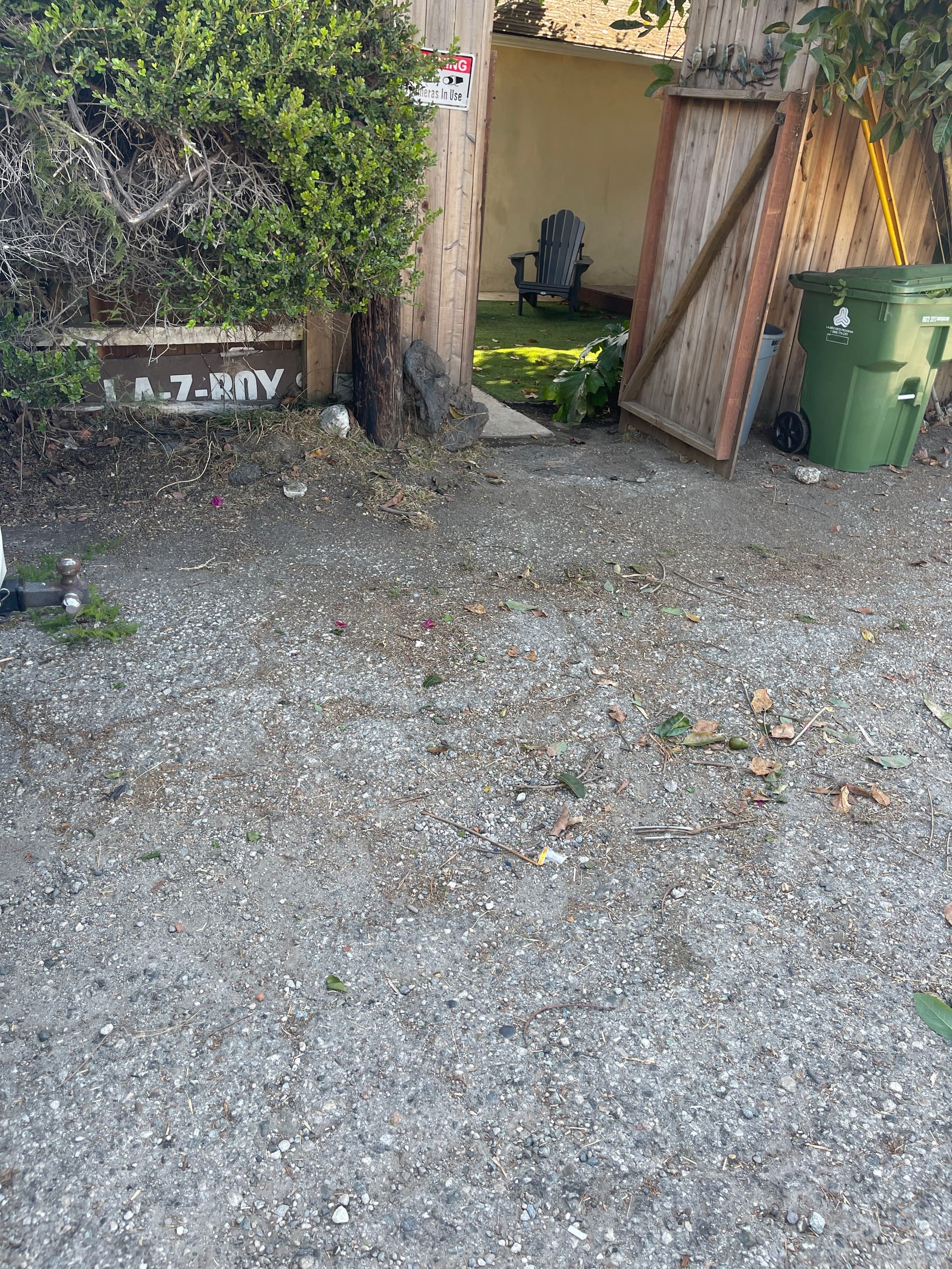 Gallery photos for Tree Trimming Debris Hauled Away Fast and Clean: Image #2