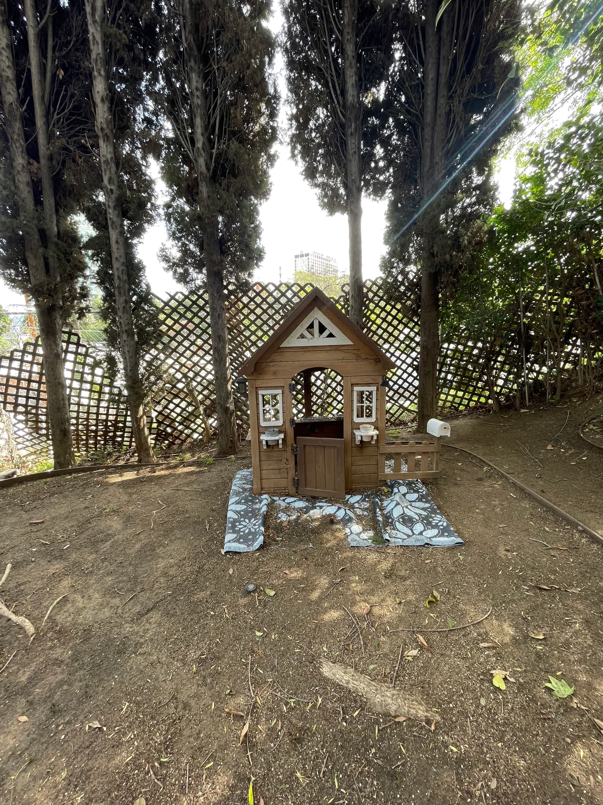 Gallery photos for Storage Room and Side Yard Cleanout Done Right: Image #2