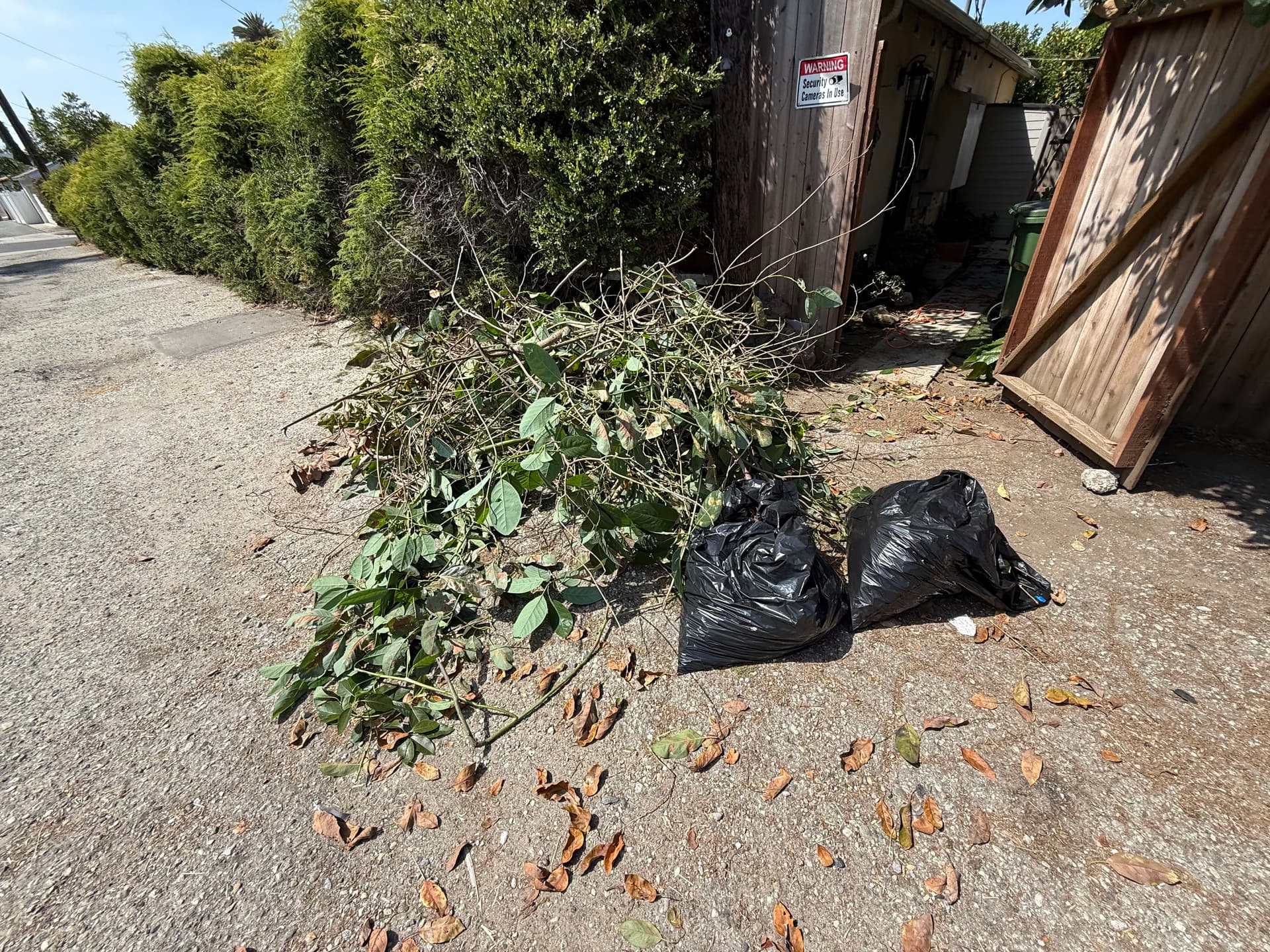 Gallery photos for Tree Trimming Debris Hauled Away Fast and Clean: Image #1